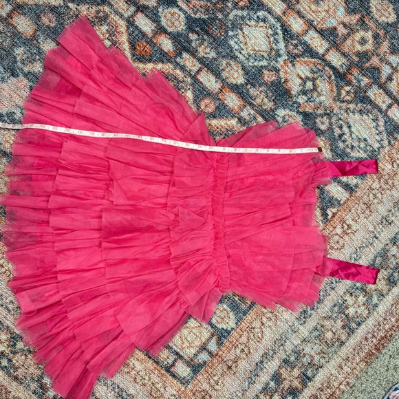 Storia Pink Tulle Ruffle Mini Dress - Picture 12 of 13